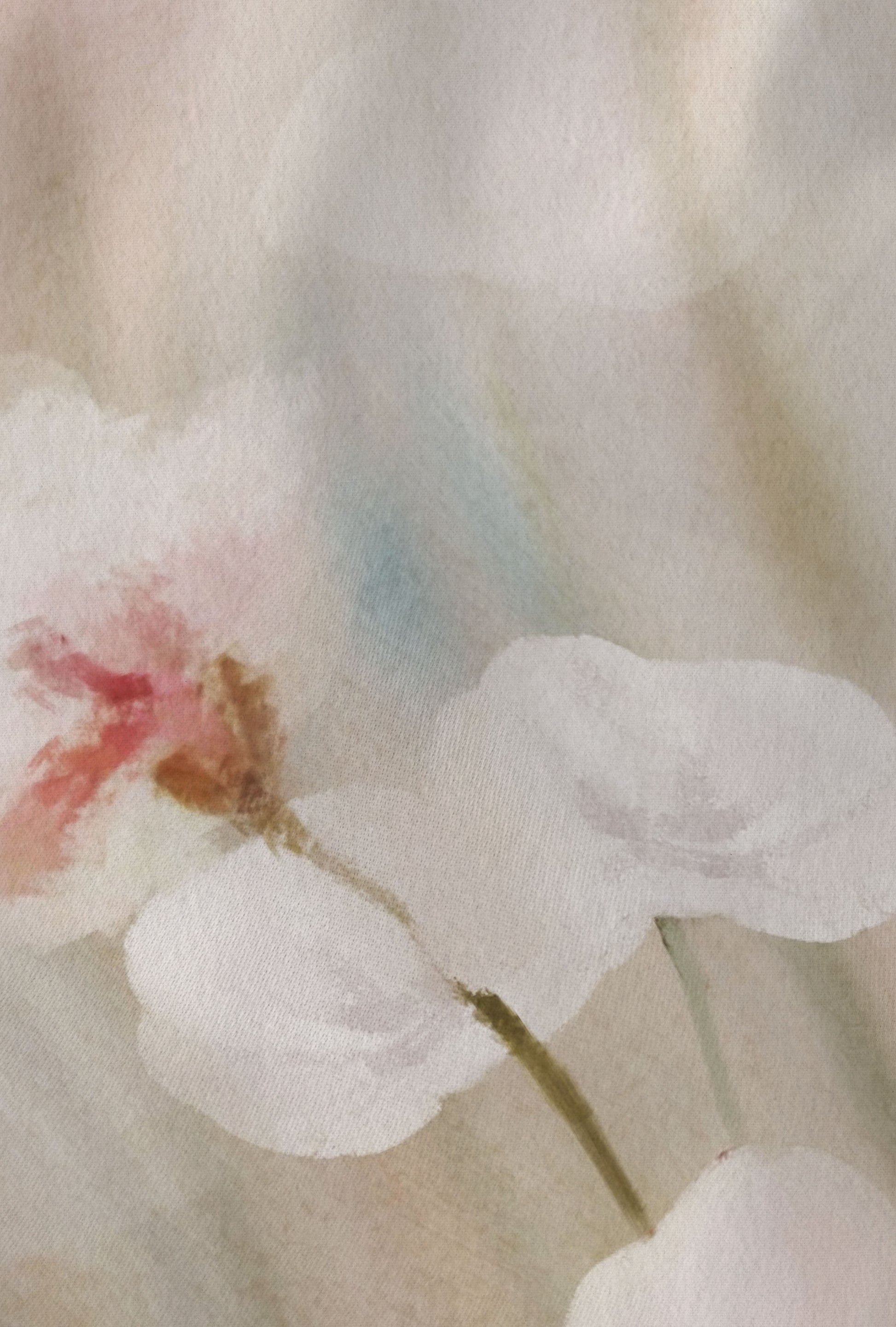 biberna Feinbiber Bettwäsche Natur – Produktdetail