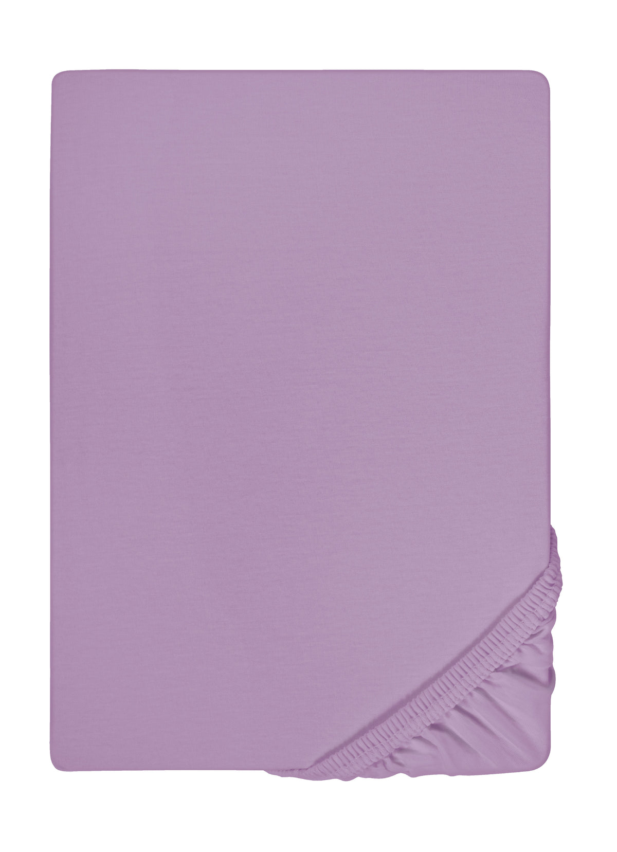 biberna Feinjersey Spannbetttuch Viola
